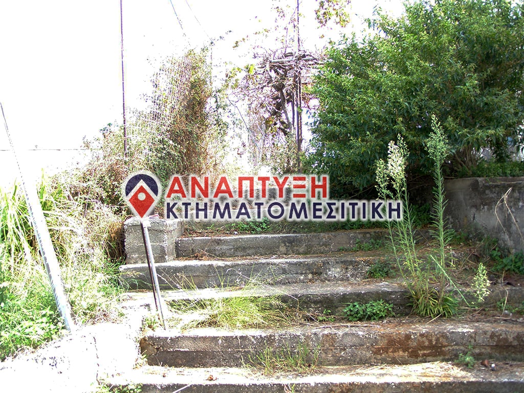 Chania-Properties-For-Sale-Real-Estate-www.anaptyxichania.gr-Galatas-P1010626
