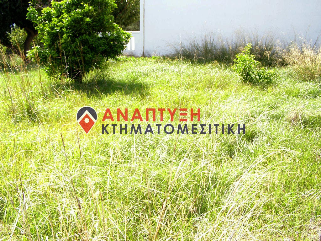 Chania-Properties-For-Sale-Real-Estate-www.anaptyxichania.gr-Galatas-P1010634