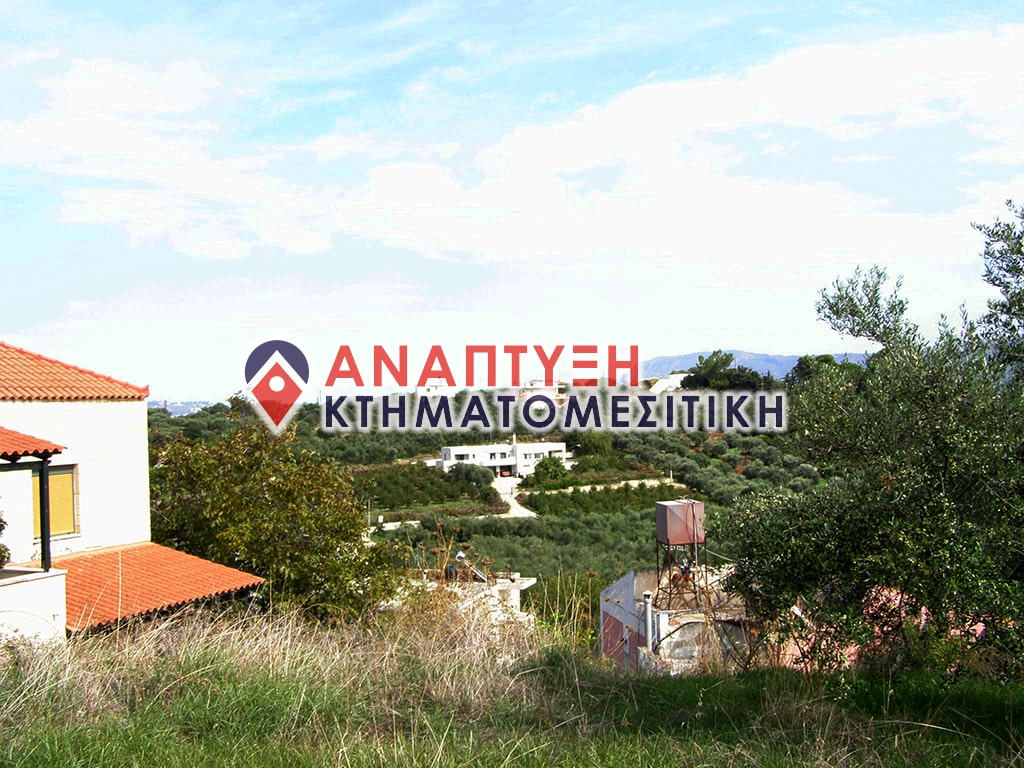 Chania-Properties-For-Sale-Real-Estate-www.anaptyxichania.gr-Galatas-P1010640