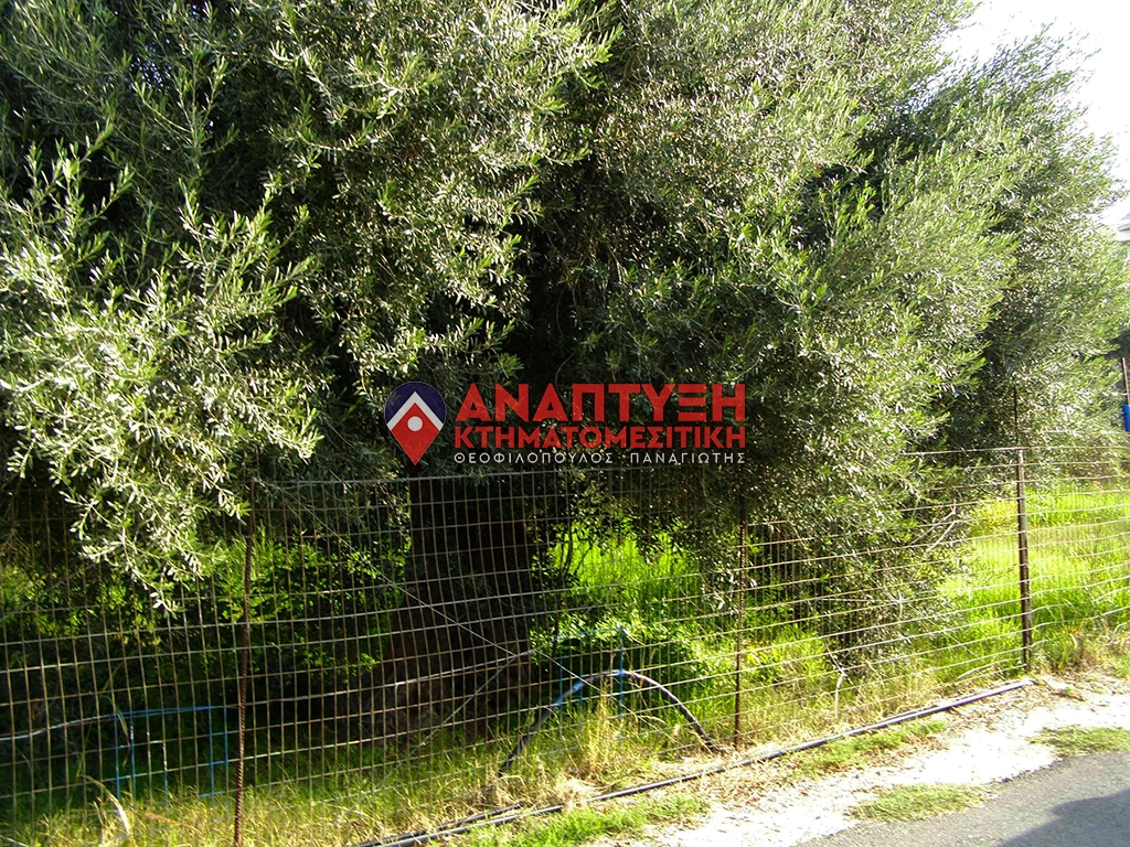 Real-Estate-Chania-properties-plot-anaptyxichania.gr-theo25-pic4