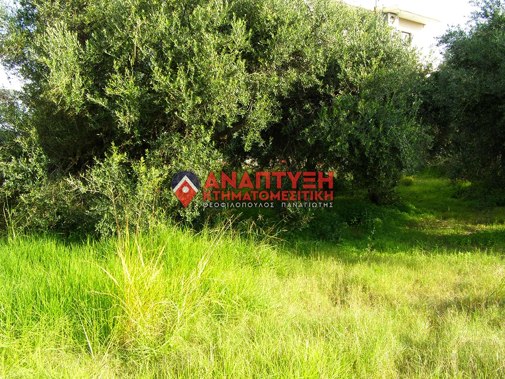 Real-Estate-Chania-properties-plot-anaptyxichania.gr-theo25-pic5