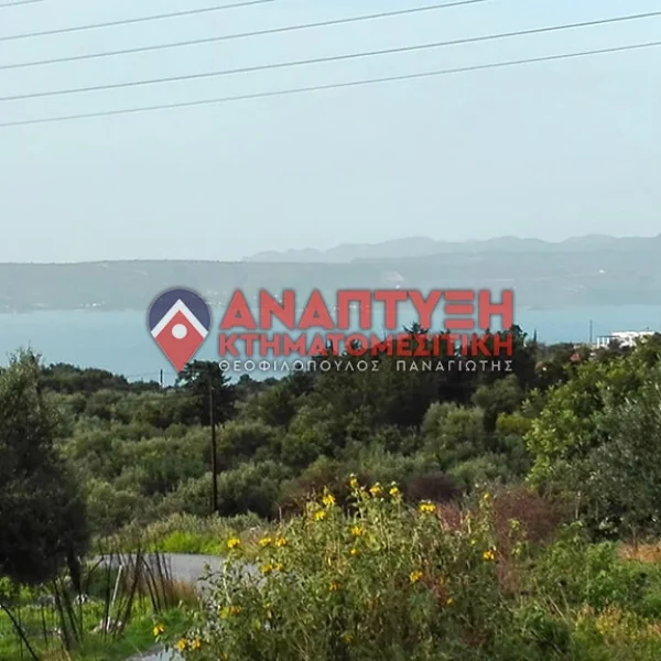 Real-Estate-Chania-properties-Anaptyxichania.gr-Kampia-theo37-pic4