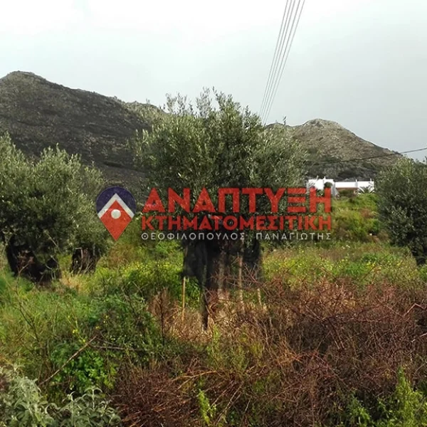 Real-Estate-Chania-properties-Anaptyxichania.gr-Kampia-theo37-pic9